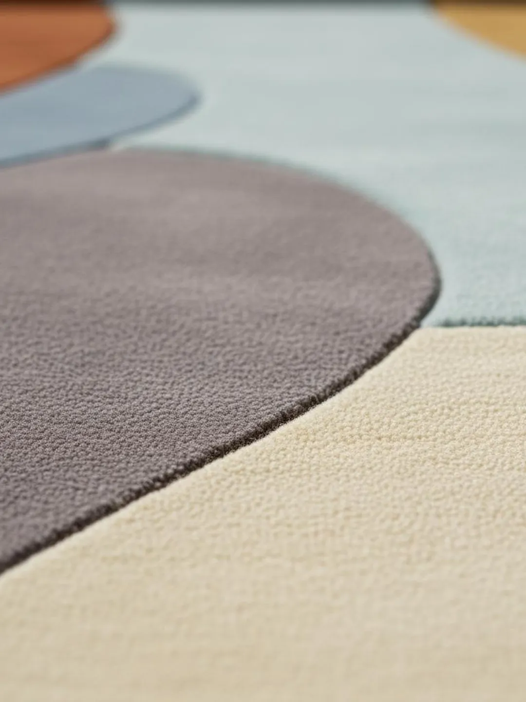 Multicolor Irregular Abstract Area Rug with Organic Shape Modern Retro ...