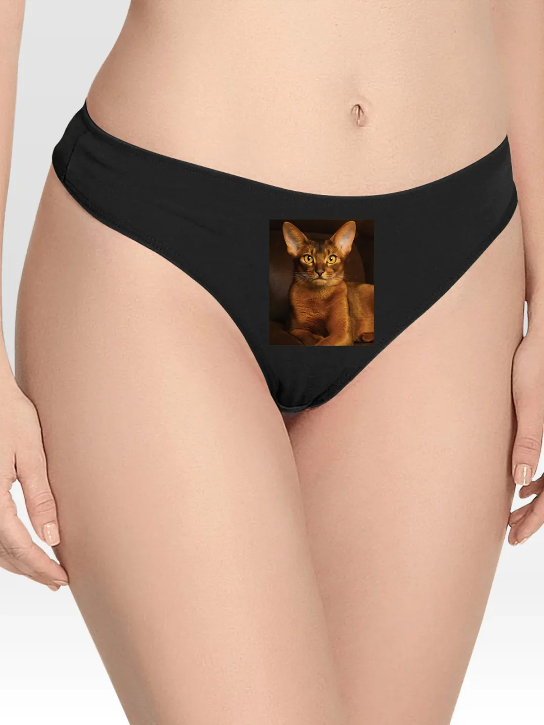 with Abyssinian Cat Lingerie Thong