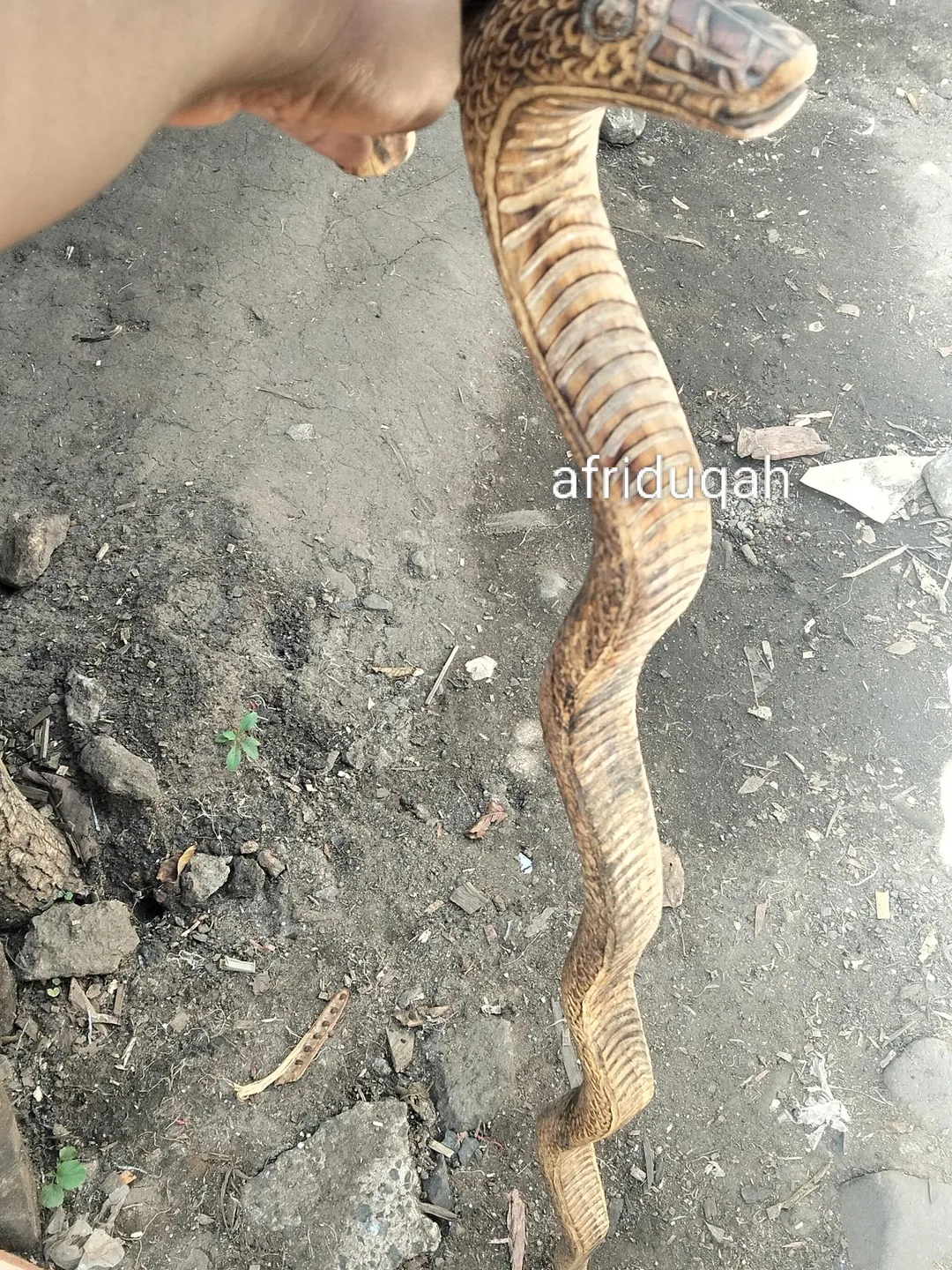 African wooden python original hiking walking stick,unisex walking ...