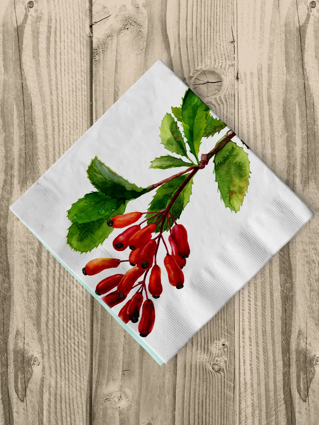 FREE clipart Barberry branch with berries Botanical illustration Watercolor digital File Art print Clipart with berries Large poster