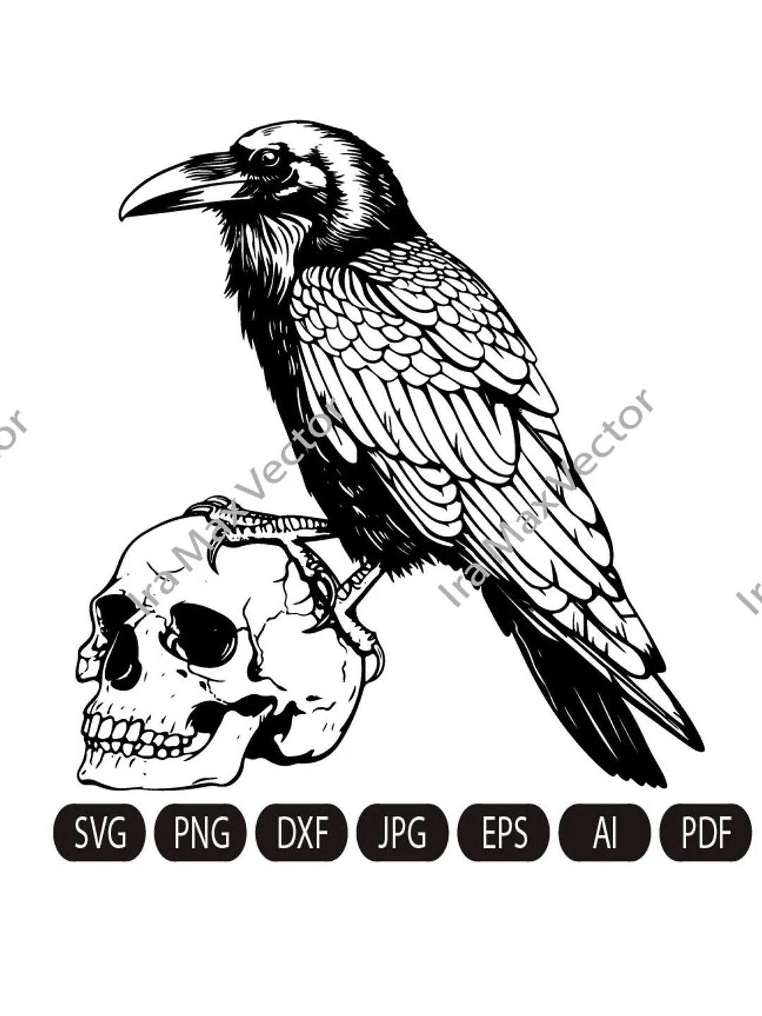 The Black Raven　黒魔術の書 df29f8b4038a8c293495c2ab644525
