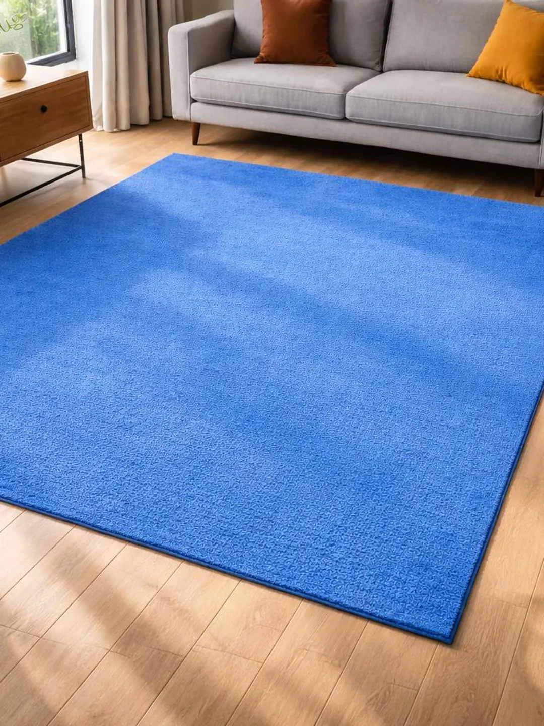 Soft Plush Blue Area Rug, Modern Minimalist Carpet for Living Room