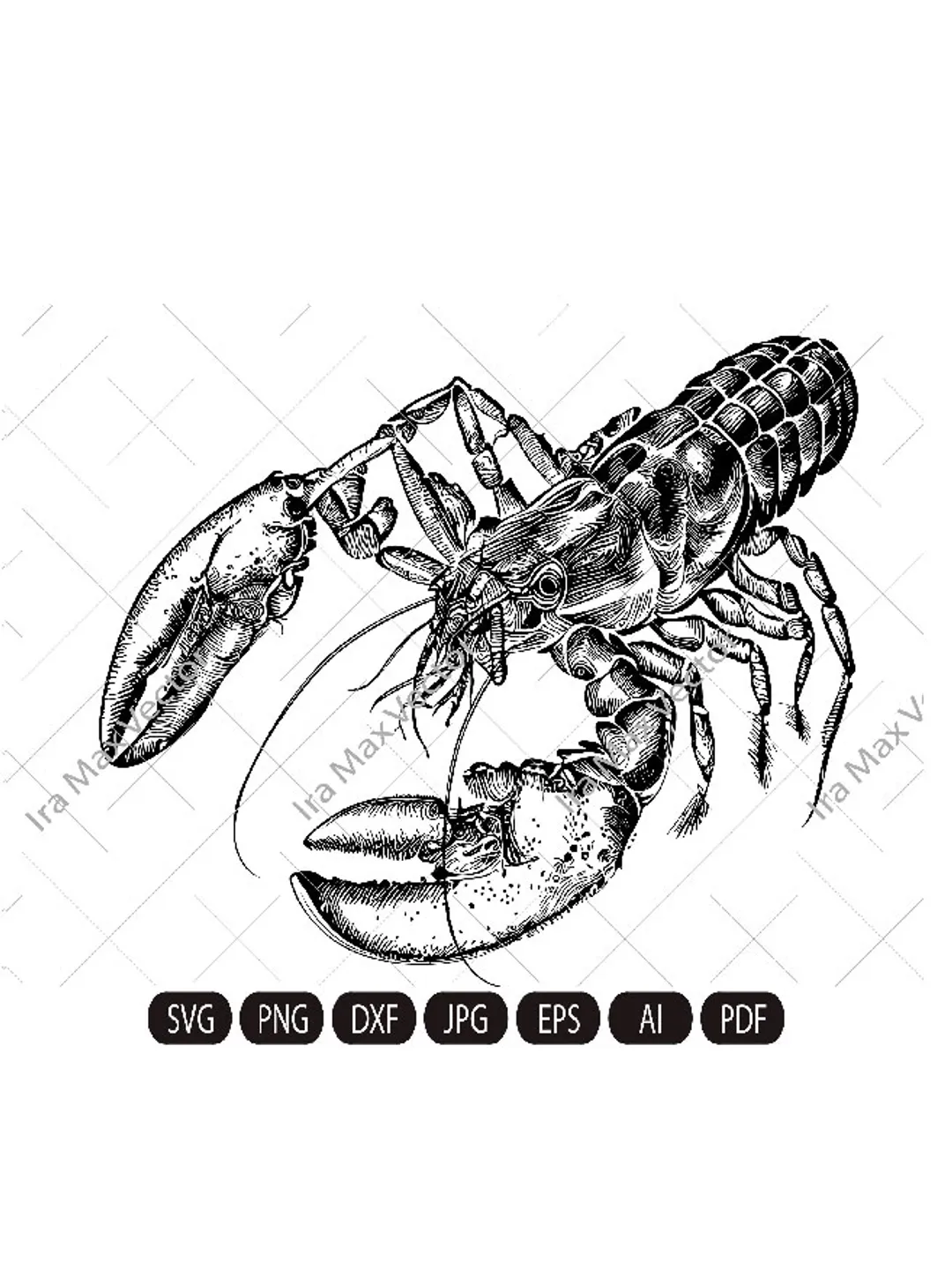 Lobster Svg, Lobster, Sea Food Svg, Sea Svg, Summer Svg, Lobster Clipart, Lobster Cut files, SVG Files, Silhouette Cut Files