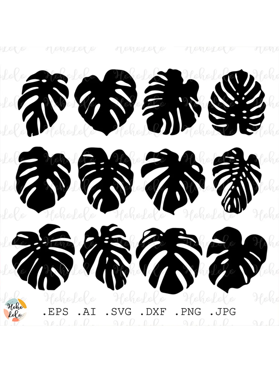 monstera deliciosa oder borsigiana Monstera Deliciosa Albo Variegated (Small Form/Borsigiana) *Grower's C –  Rare Plant Fairy main image 1