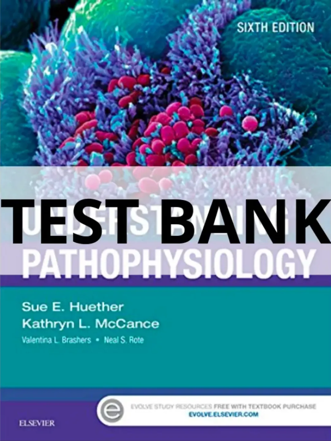TEST BANK Understanding Pathophysiology 6th Edition