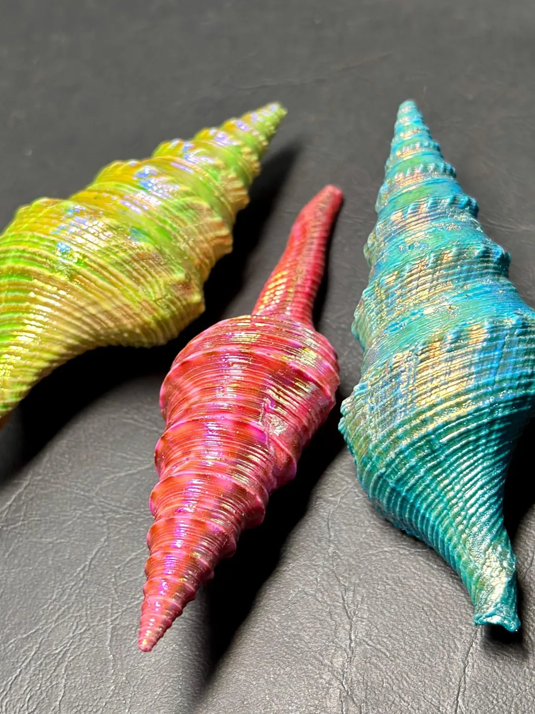 3 pieces lot Natural dyed Florida Horse Conch shells. cabochonGemston ...