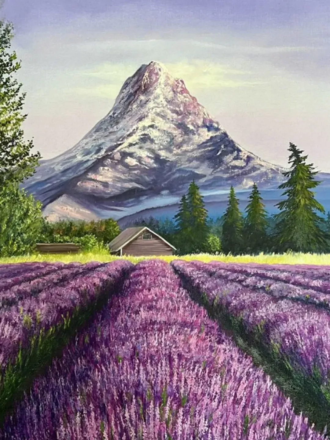 Painting on canvas “Lavender field”, oil, size 50 x 60 cm