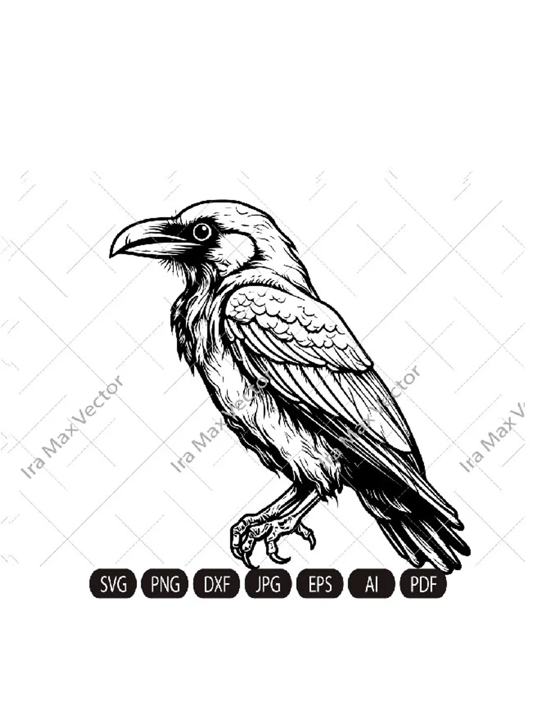 Raven SVG ,Black Crow svg, Raven sitting svg, Crow sitting svg,Cute crow, Vintage Design, Gothic Art, Raven  Print, Printing Clipart, Birds