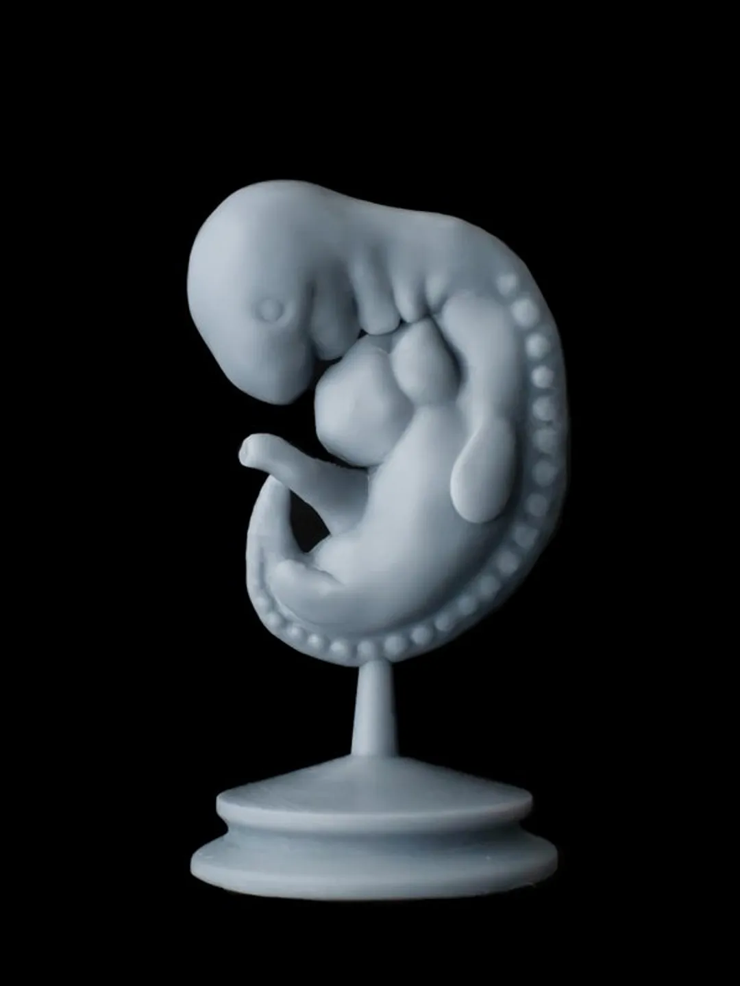 Embryo 3-4 weeks, mini heart, bereavement fetus, Sculpture cast in resin