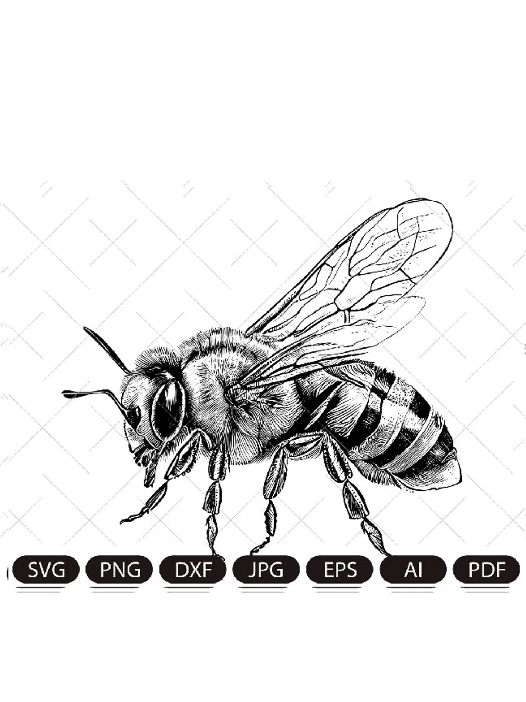 Bee,honey bee , bumble bee svg png jpg clip art Silhouette Cricut Cutting Machine cut file