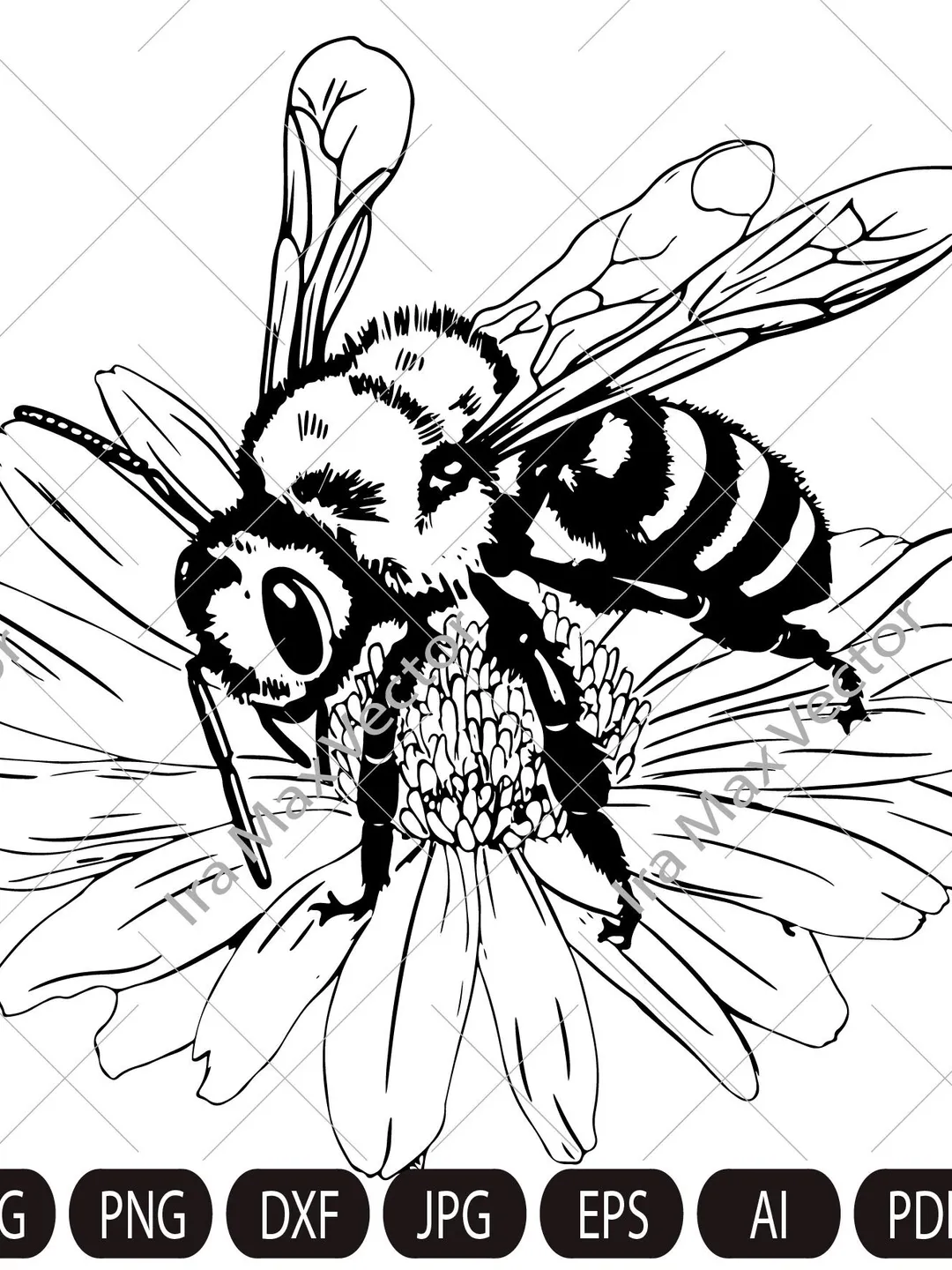 Bee svg, Floral bee, bee on flower, honey bee, bumble bee svg png jpg clip art Silhouette Cricut Cutting Machine cut file