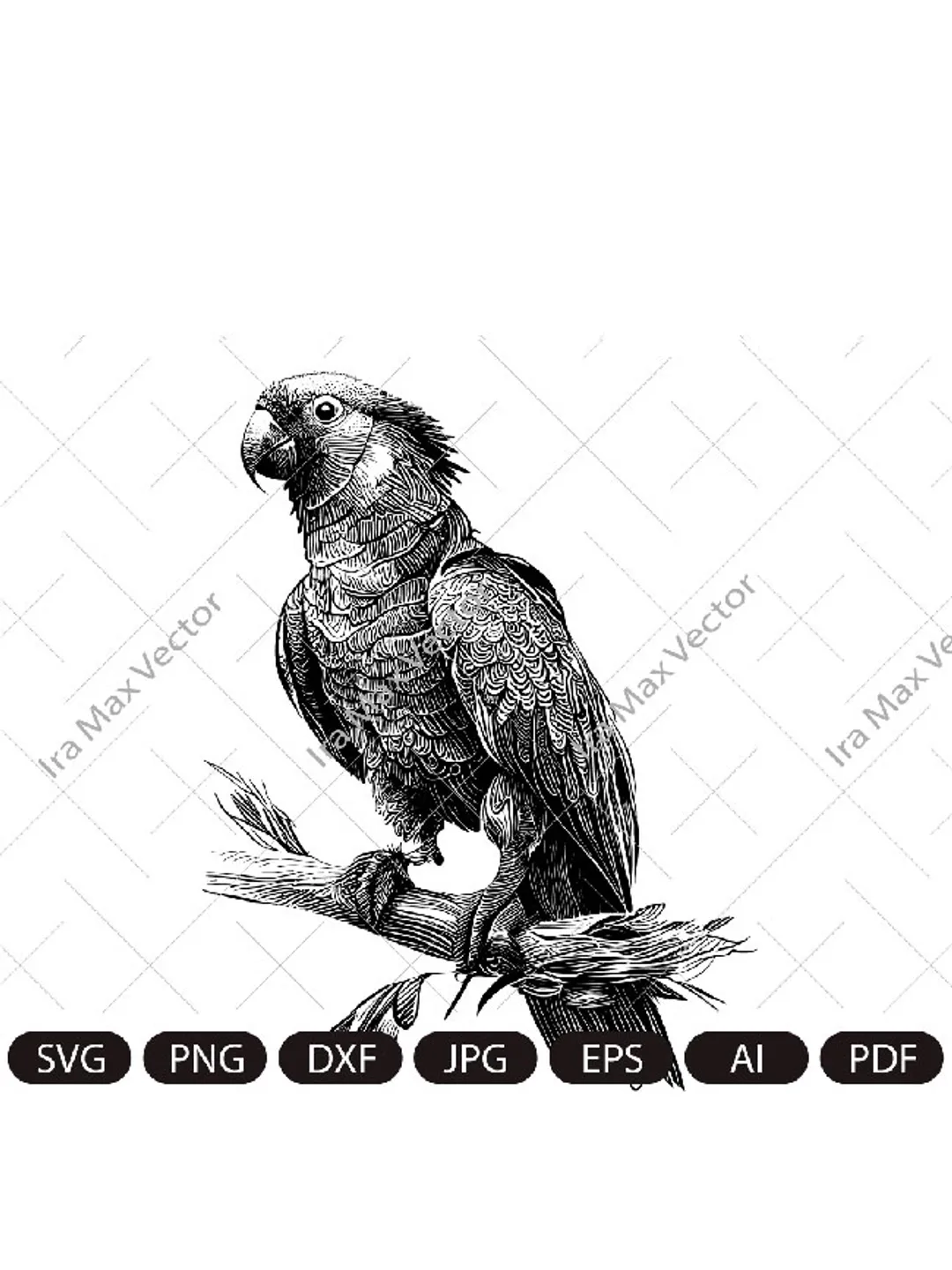 Parrot Svg, Macaw svg, Exotic bird svg, Silhouette dxf, bird Clipart, Parrot face svg, vector bird , Parrot head svg, digital file