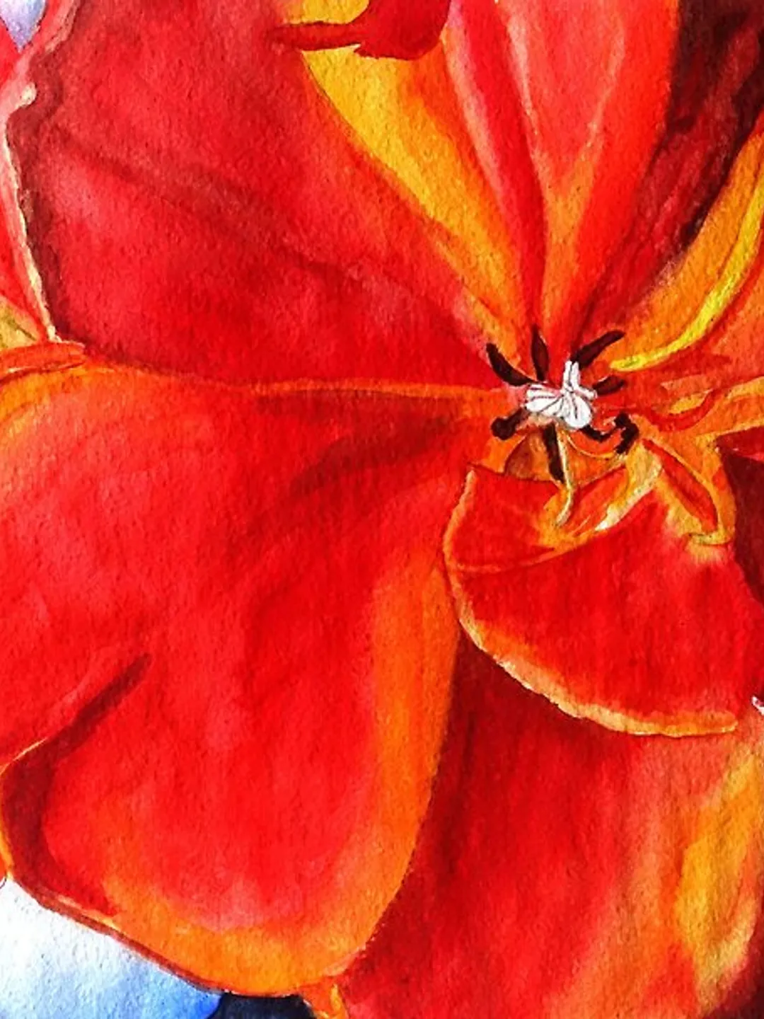 Tulip Painting Floral Watercolor Texas Original Art Flower Wall Art