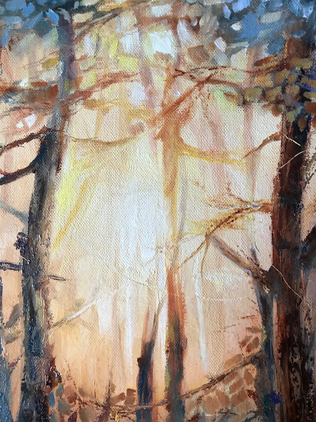 Forest Original Oil Painting Sunset Landscape Abstract Forest Art