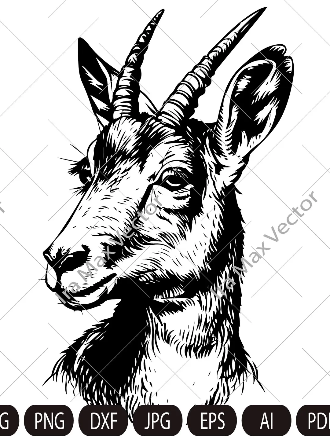 Vector New Zealand CHAMOIS, deer head, goat head,chamois face,chamois head,chamois printable