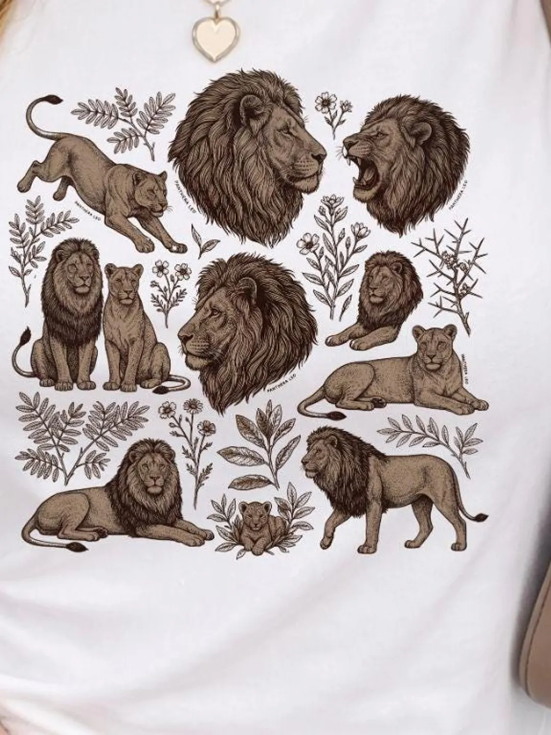 Vintage Lion Species Chart SVG PNG | Retro Wildlife Illustration, Lion Shirt Design, Botanical Safari, Lioness and Cub | (Digital Download)