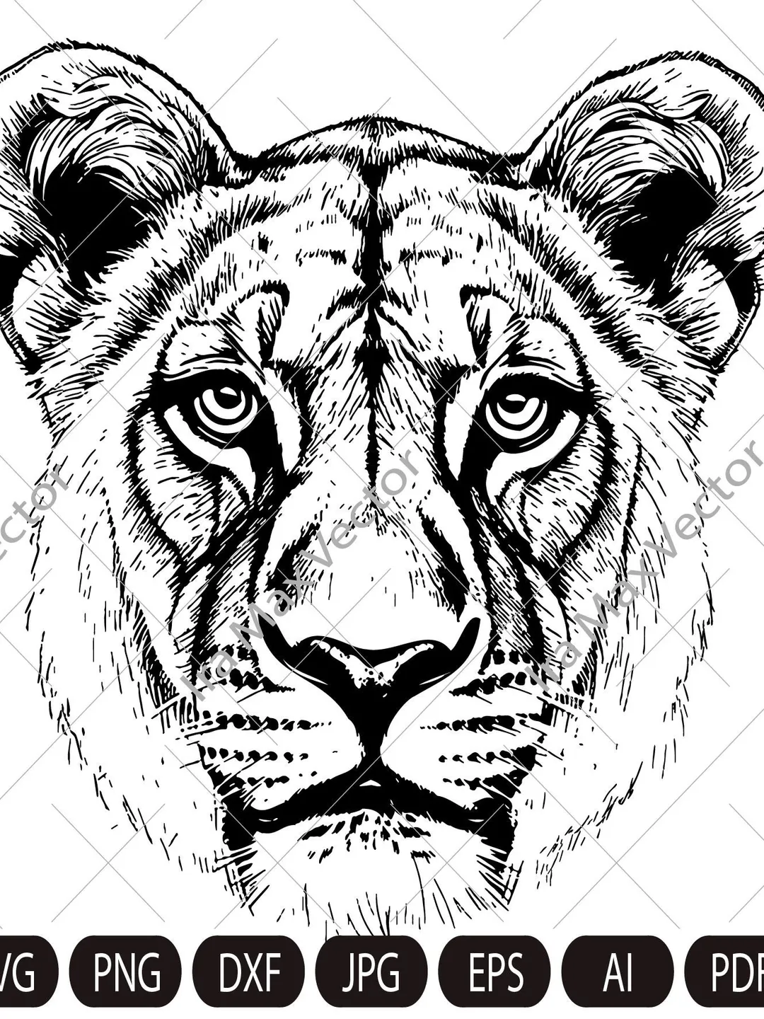 Lioness svg, Lioness head SVG, Lion face Svg, Wild cat Svg, Lion silhouette, Lioness portrait Svg, wild Lioness Svg,  Lion clipart