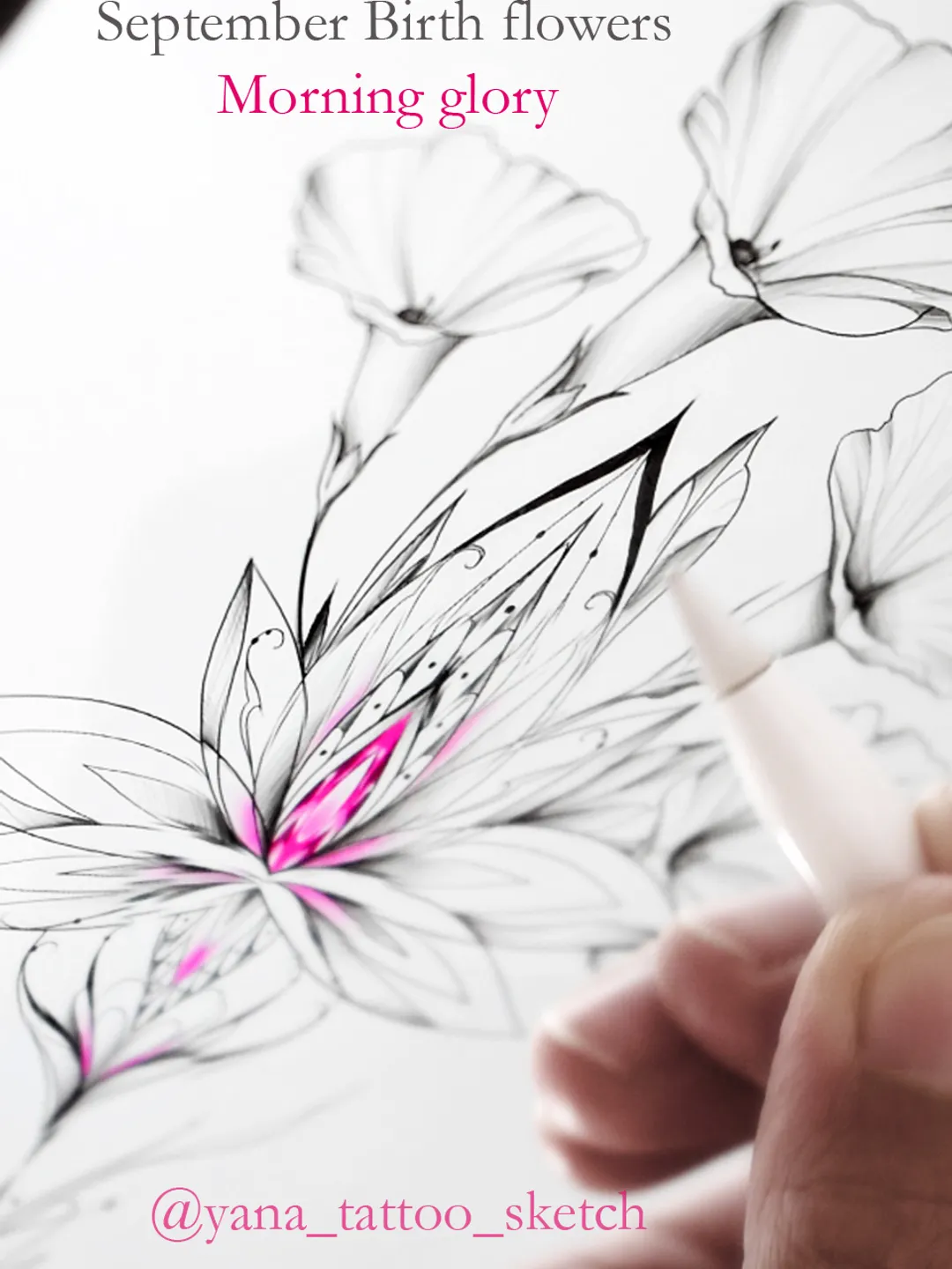 Aster and Morning Glory Tattoo Ideas