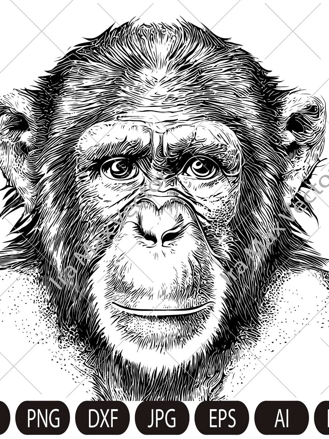 MONKEY Face svg / Monkey Head svg / Monkey svg / Monkey King svg / Monkey Mascot svg /Monkey detailed/ Monkey Printable / INSTANT DOWNLOAD