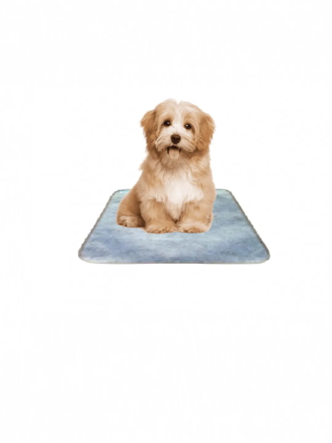 OLM / ULM healing Scenar therapy, Physiotherapeutic Mat - RITM 45x42 cm.