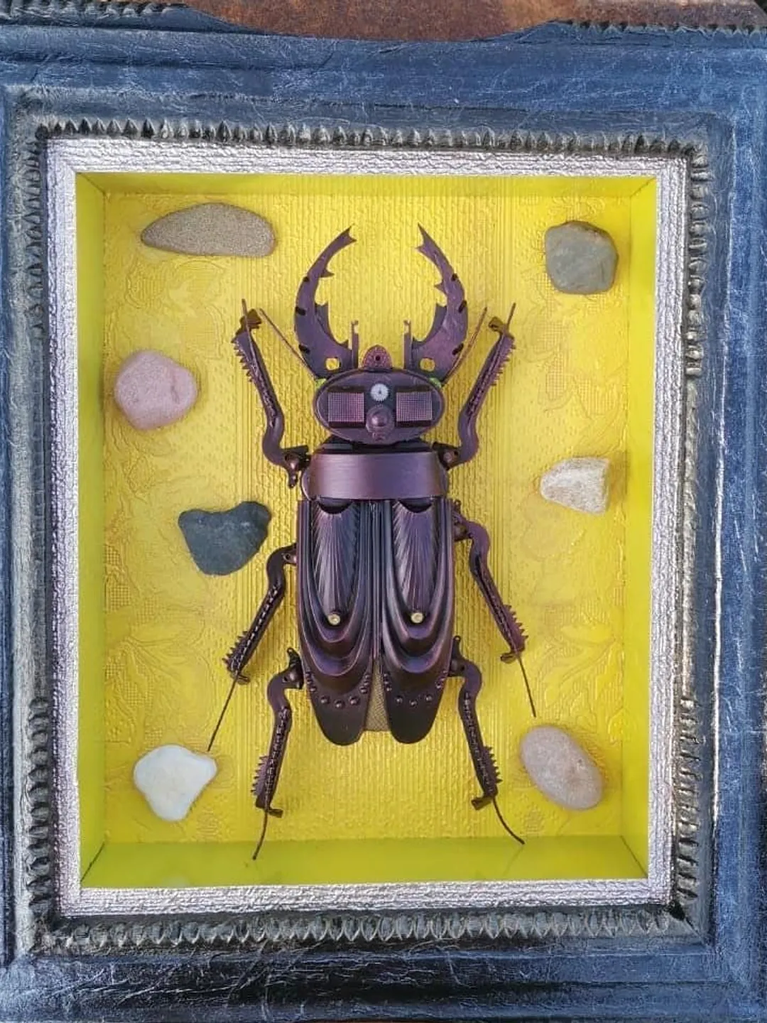 Picture "Beetle-Release"