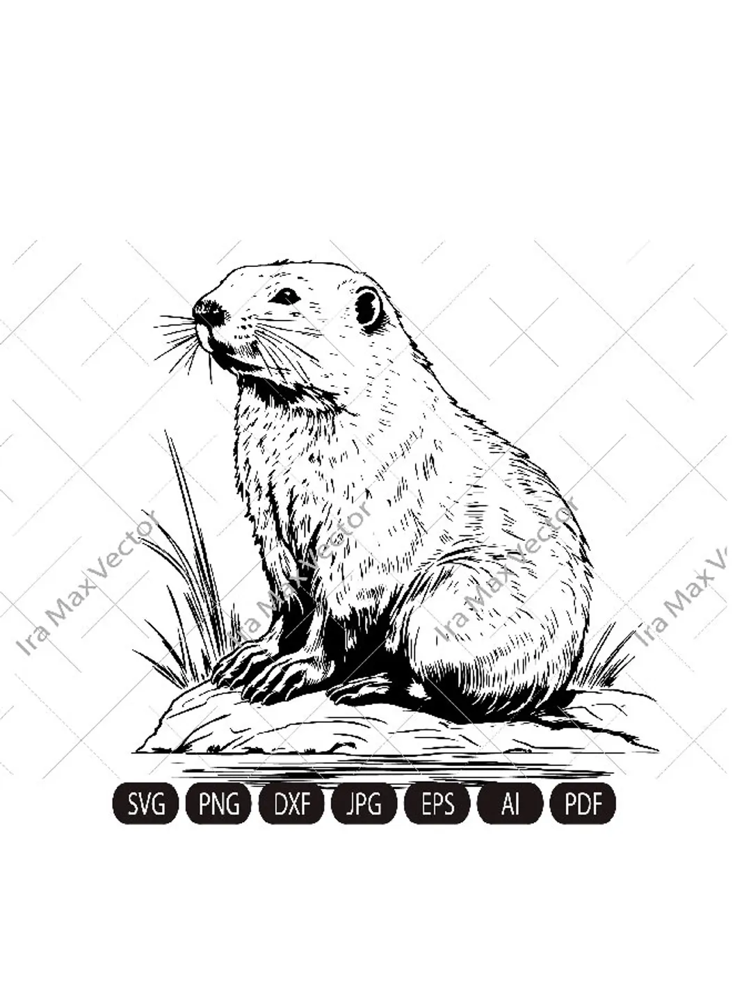 Happy Beaver Svg, Cute Beaver svg, Beaver svg, Smiling Beaver svg, Beaver Shirt, Beaver Clipart, Cut Files, Beaver face svg, Beaver head svg