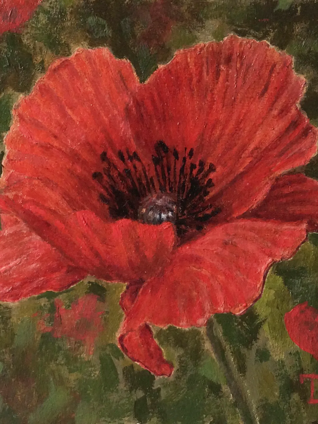 "Poppy" oil small painting flower stilllife original wall art picture artwork floral