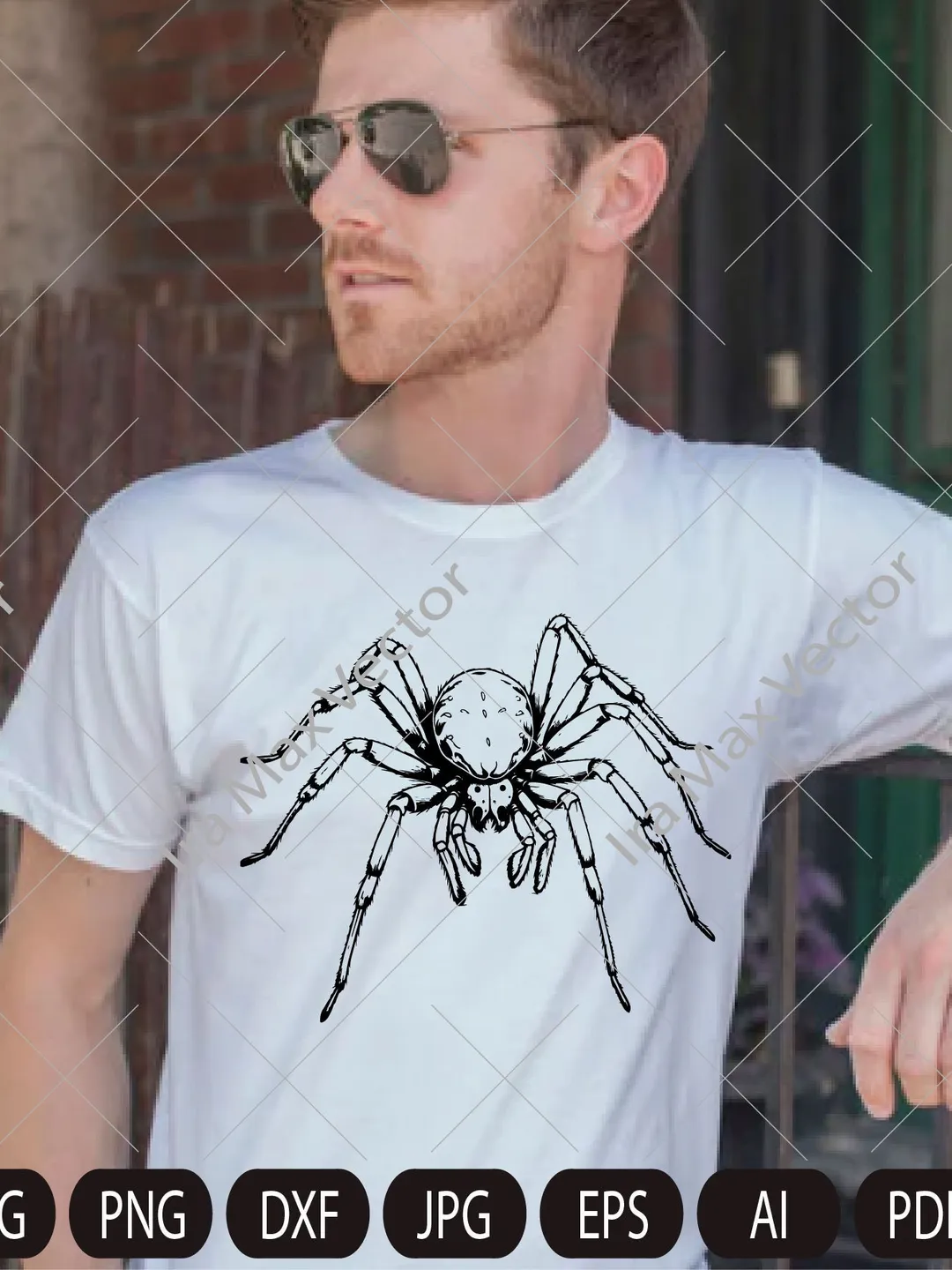 Spider SVG, Spider Design Svg, Spider detailed, Spider Dxf