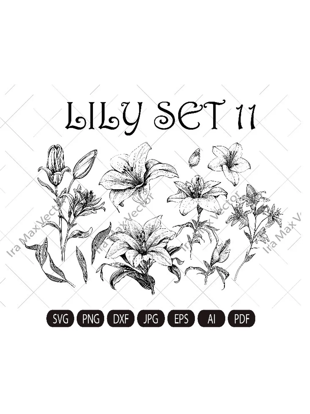 Lily Flower Svg, Lily Svg Bundle, Lily set Svg, Hand Drawn Lily Svg, Flwer Bouquet Svg, Floral Svg, Flower Wedding, Flower Svg Files