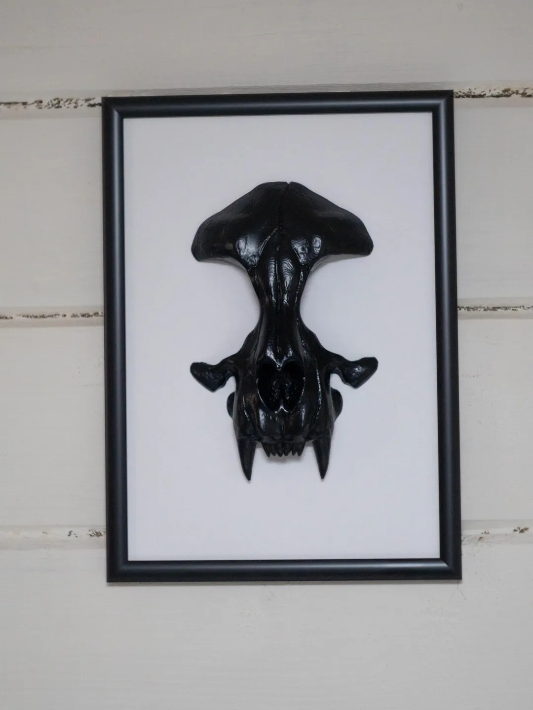 Wall-Mounted Sculpture with cat skull, framed skull, black and white minimalism, wall sculpture, Frame art