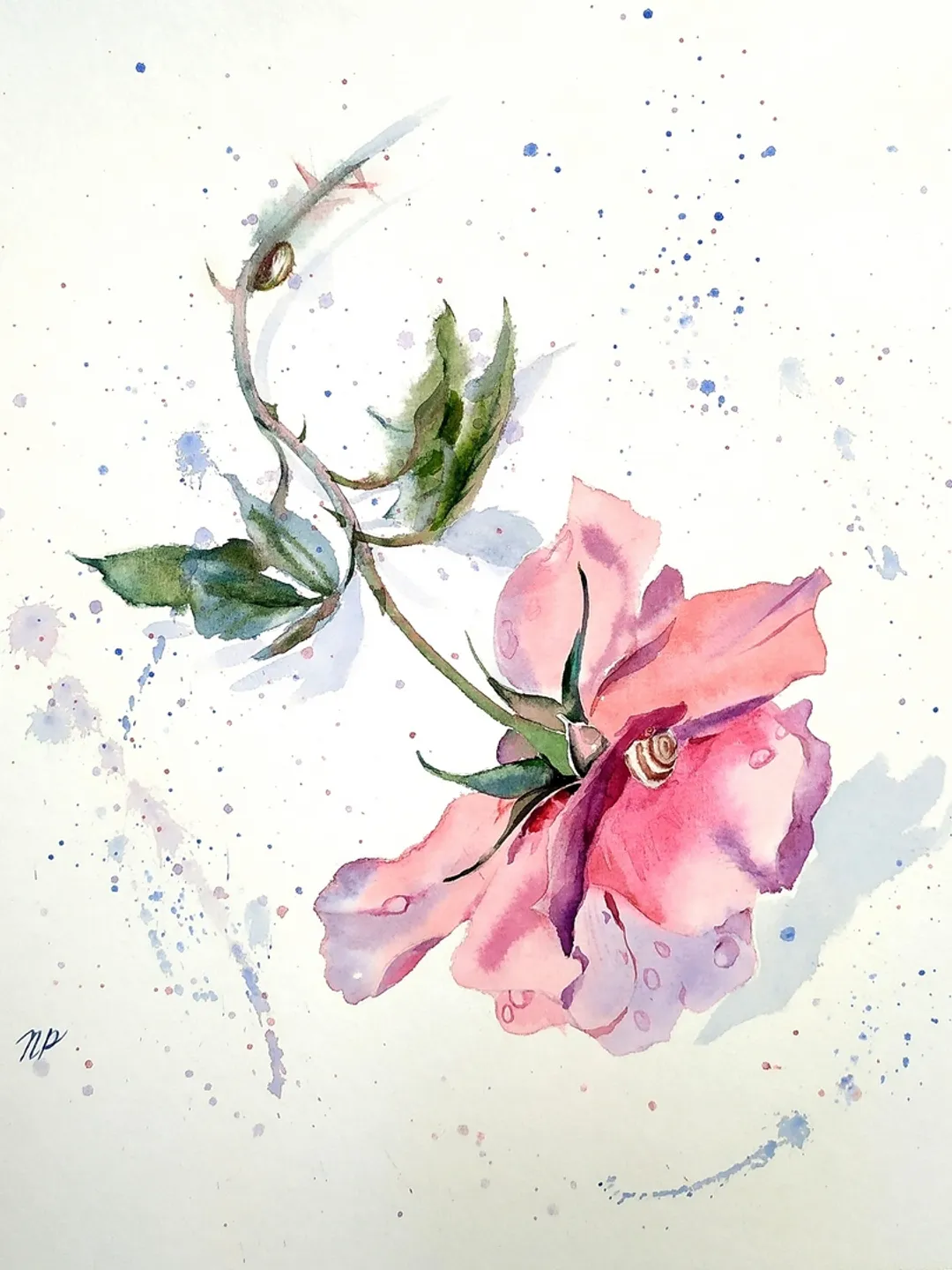 Rose Painting Floral original art 12 by 12 Red Flower watercolor square wall art Rose aquarelle by Natalia Plotnikova