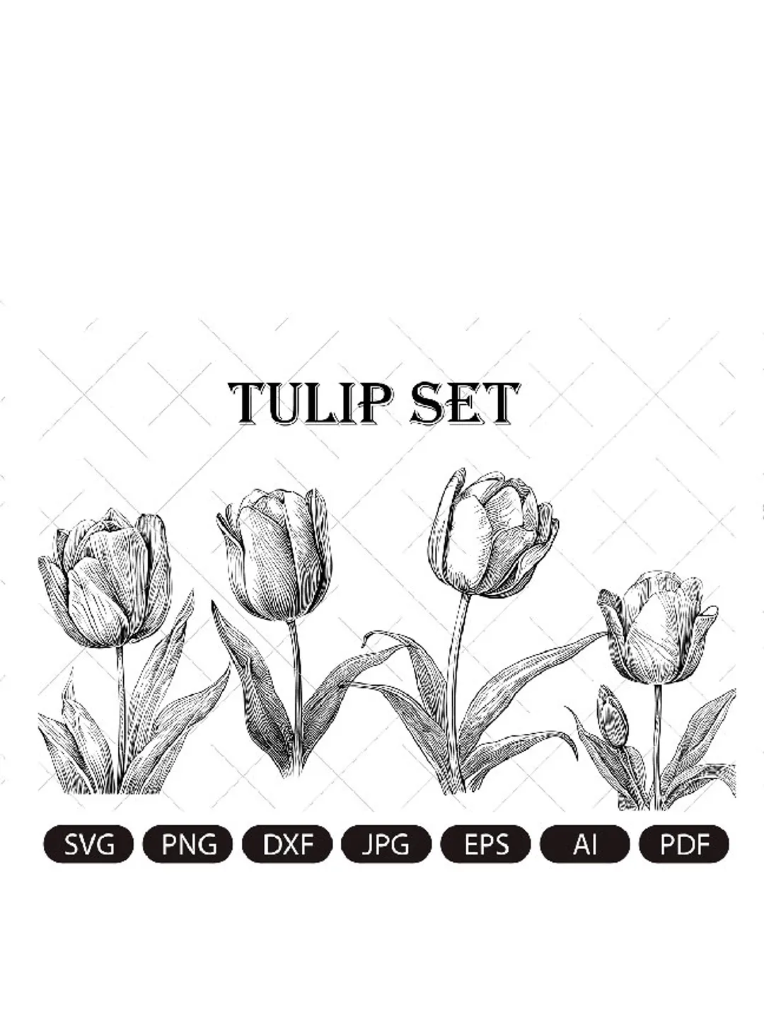 Tulip set SVG,Tulips Flower ,Vector Drawing ,Tulip Cut files.Art Clipart Digital Download