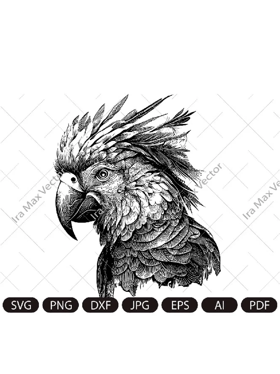 Parrot Svg, Exotic bird svg, Macaw svg, Silhouette dxf, cricut svg, bird Clipart, Parrot face svg, vector bird , Parrot head svg, digital