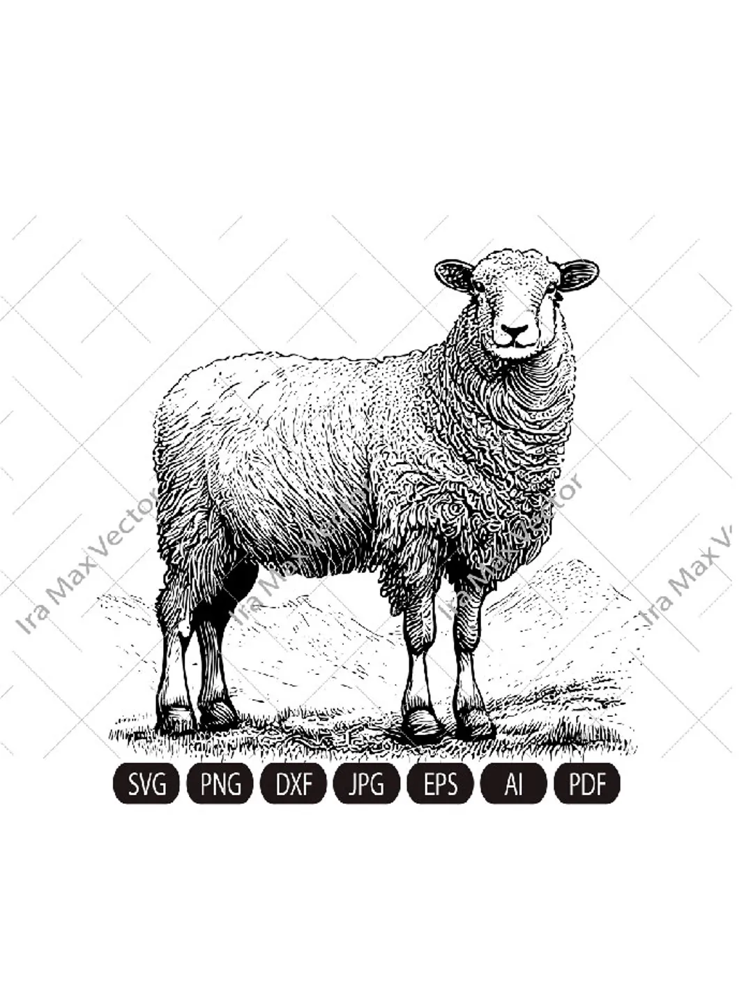 Cute sheep SVG, Sheep standing on the grass, Sheep Clipart, Sheep detailed, Sheep printable, Farm animals