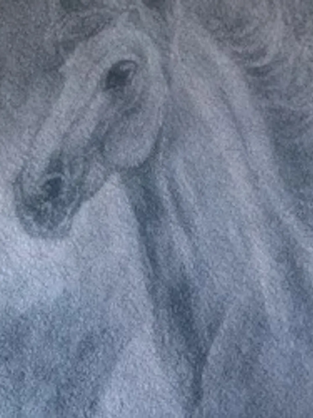 White horse portrait farmhouse painting modern wall art Original oil painting 8x6 inches