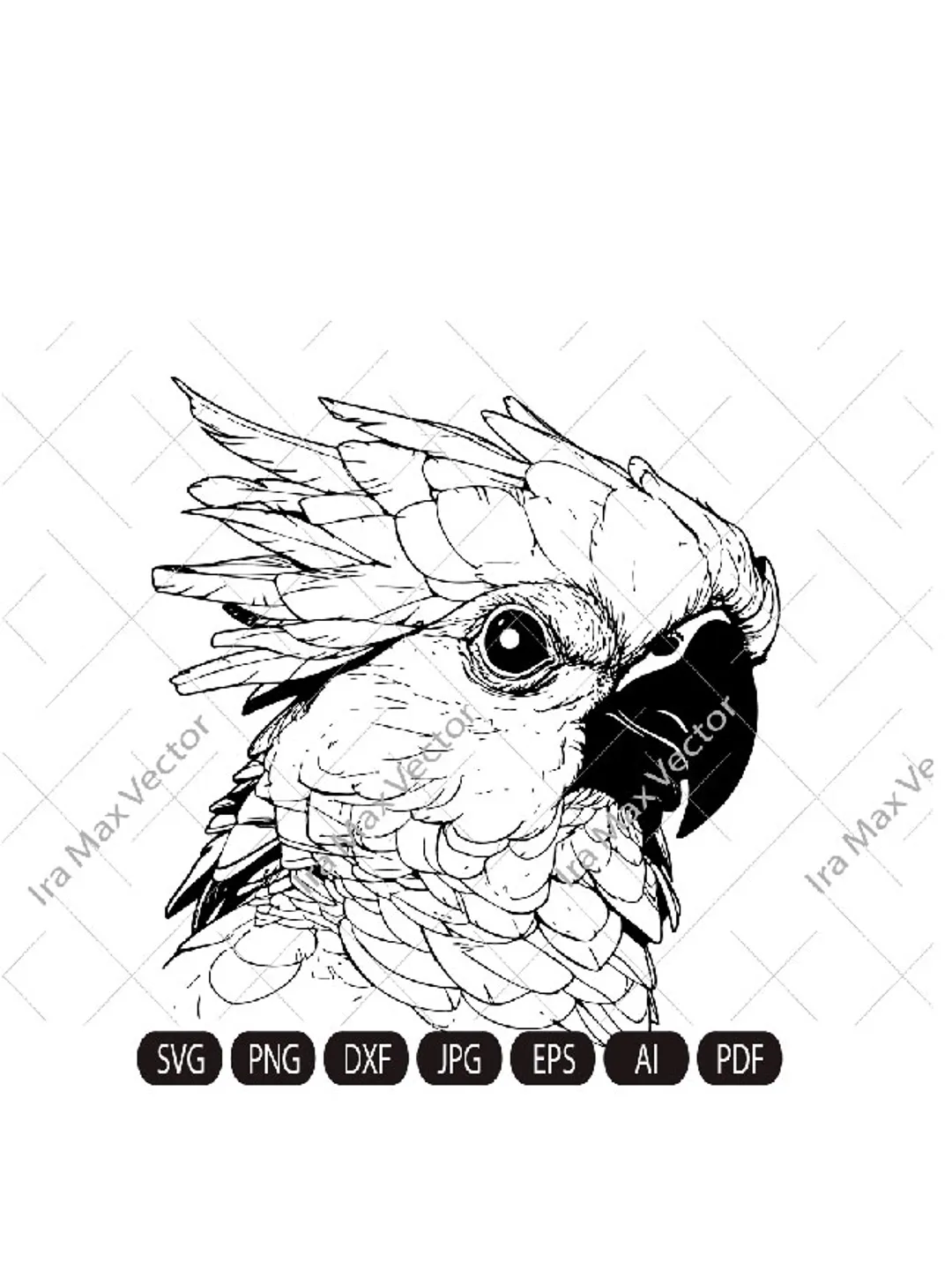 Cockatoo svg file, Cockatoo head, Cockatoo parrot, Cockatoo cut file, Animal Face, Australia svg, Cockatoo Face svg, Bird svg, Tropical Bird