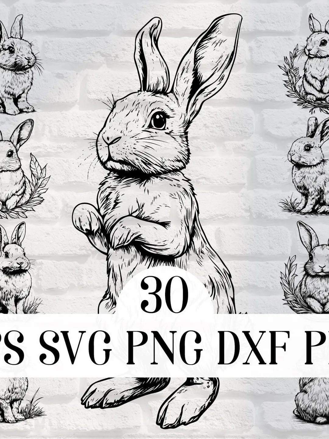 Vector Bunnies 14 Designs Bundle cute Rabbit SVG file Easter Bunny PNG ...