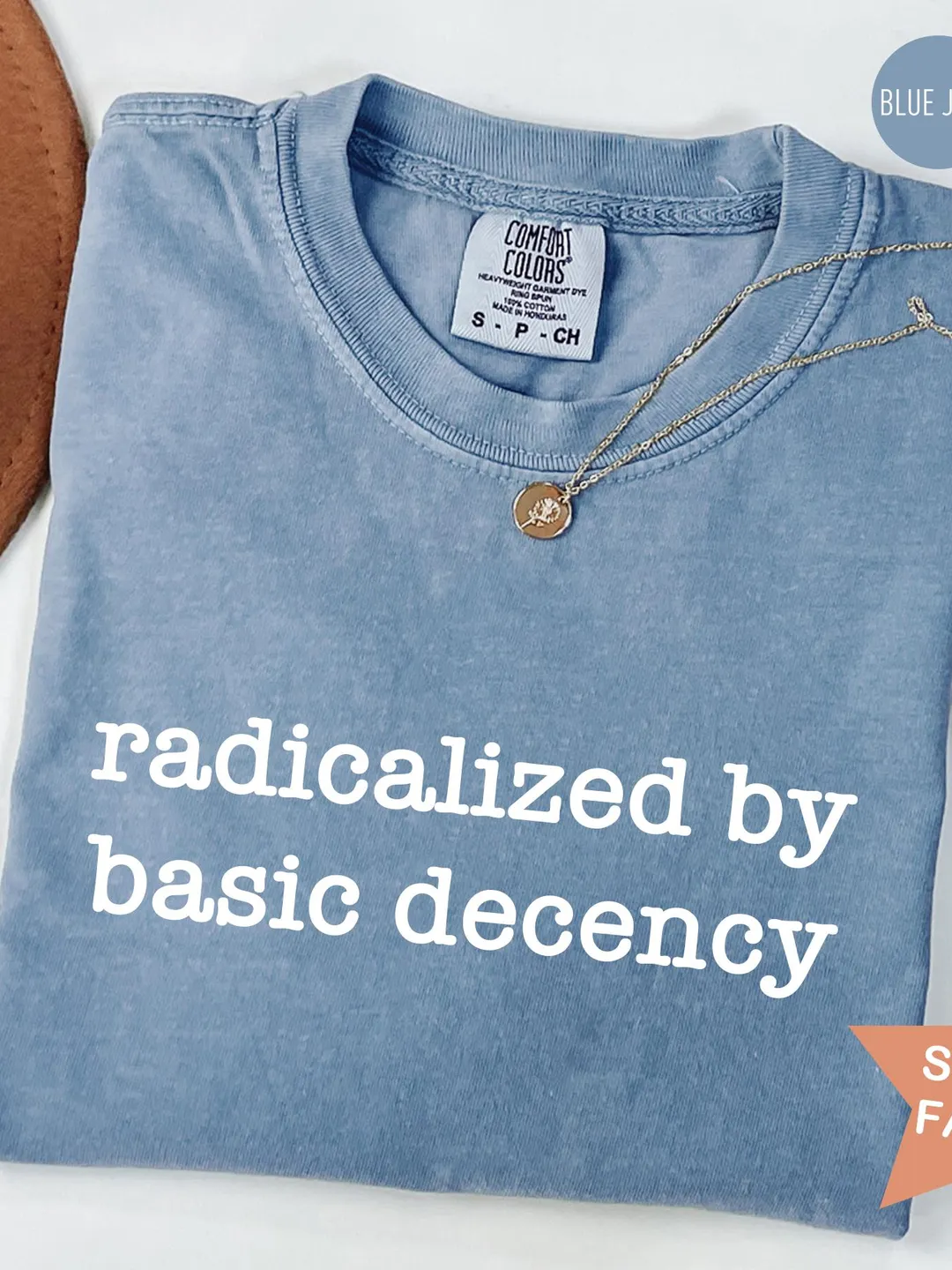 Comfort Colors® radicalized by basic decency Shirt, Political Protest Shirt, Feminist Activist Gift, Liberal Unisex Shirt, Gift for Her