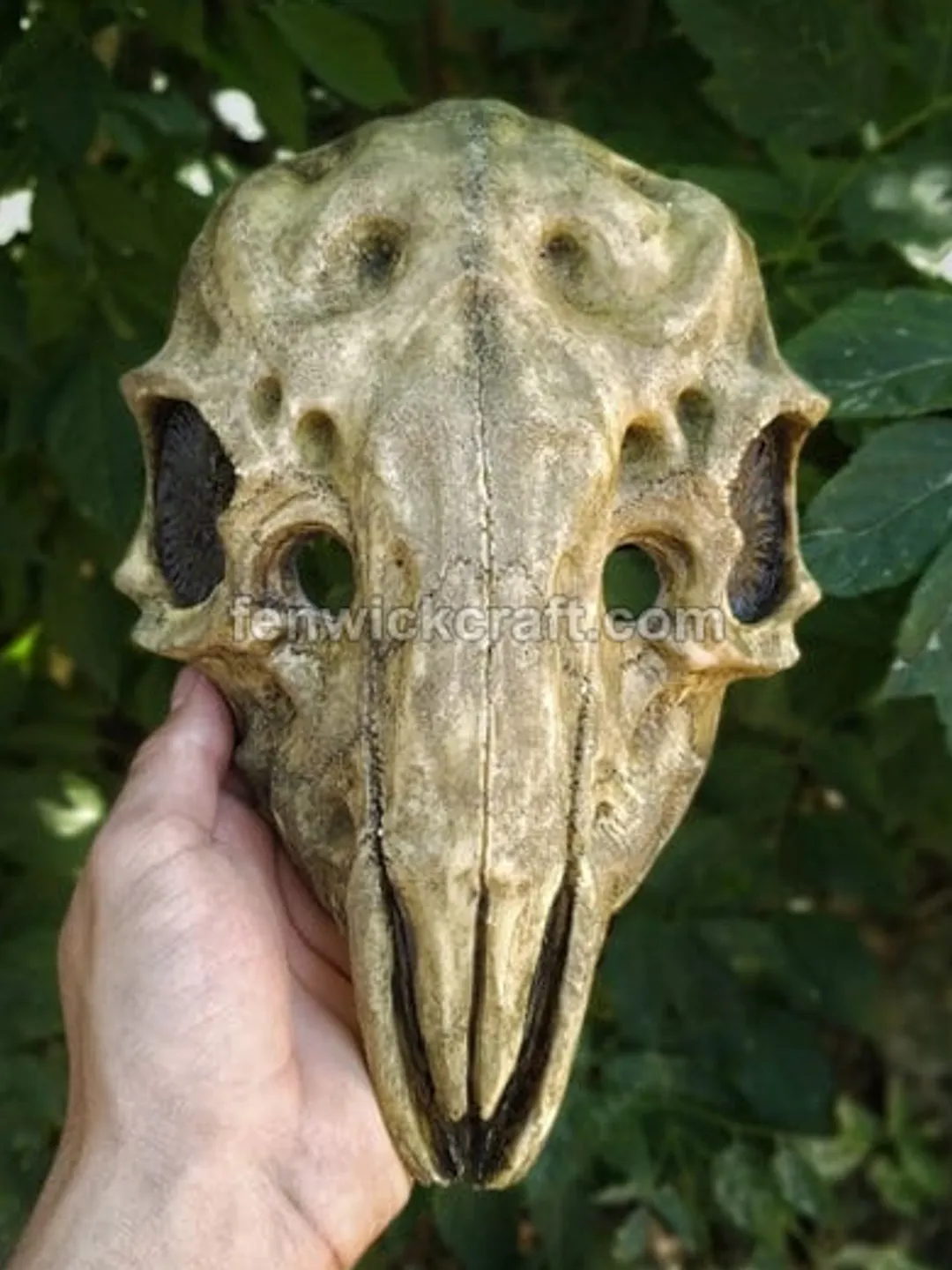 Shamanic Mask of an Ancient Aged/Animal Skull