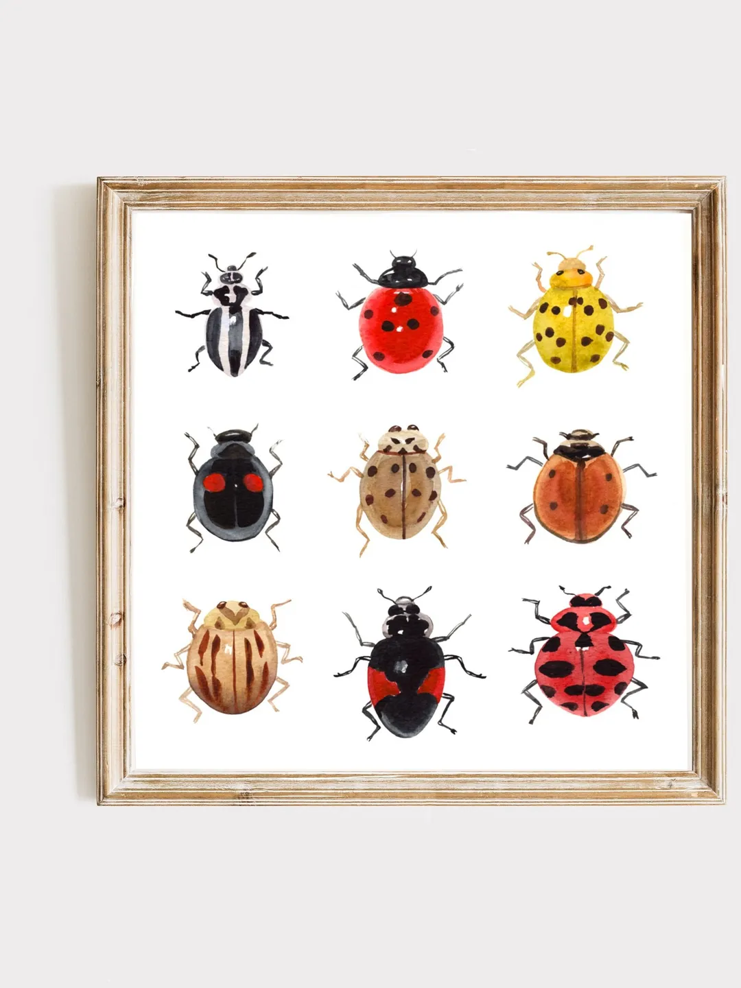 Ladybug Art Print, Watercolor Painting, Bug Insect Print, Insect Lover Gift, Ladybird Painting, Lady Bug, Realistic Art, Gift For Him