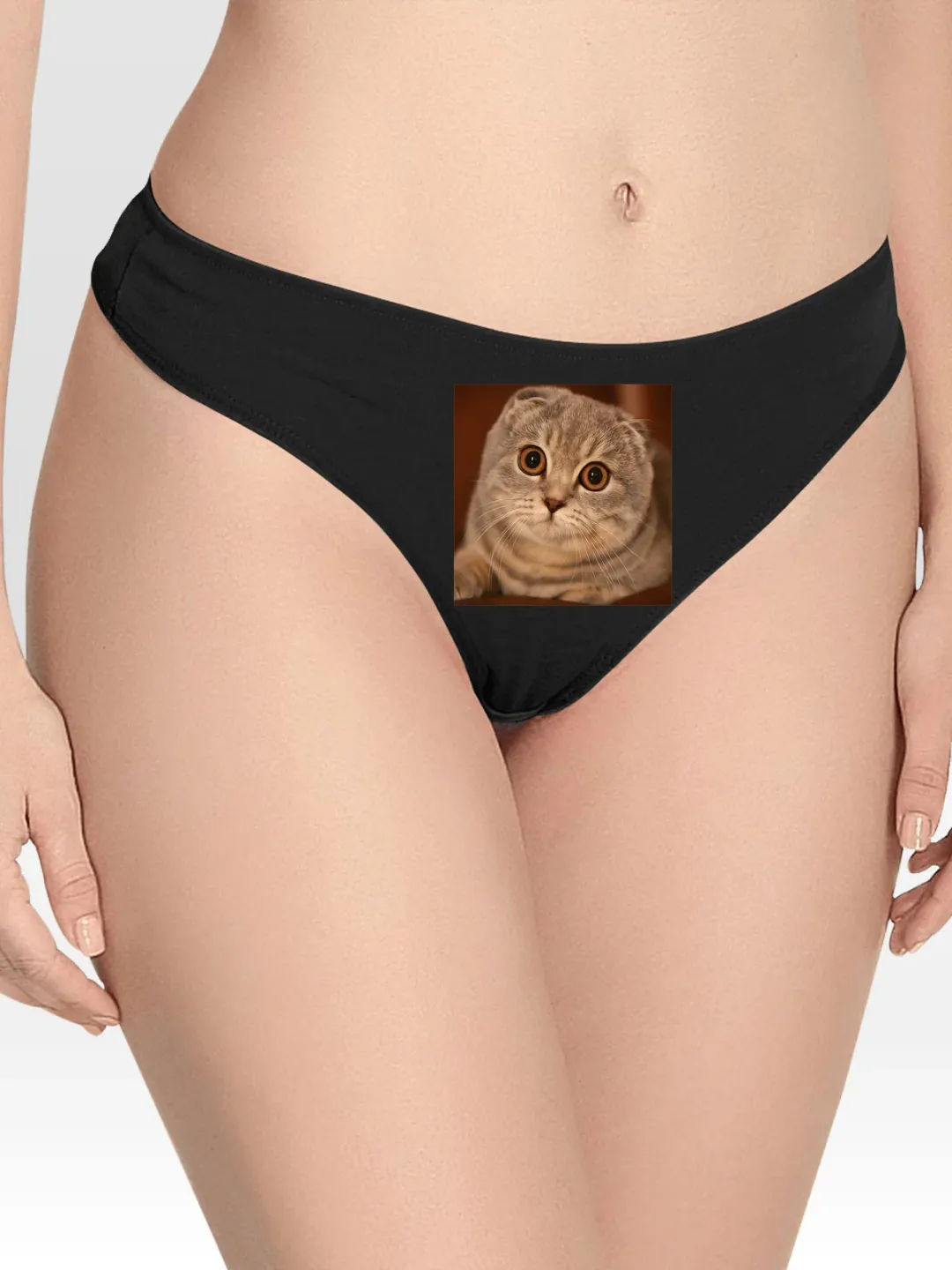 Scottish Fold Cat Lingerie Thong