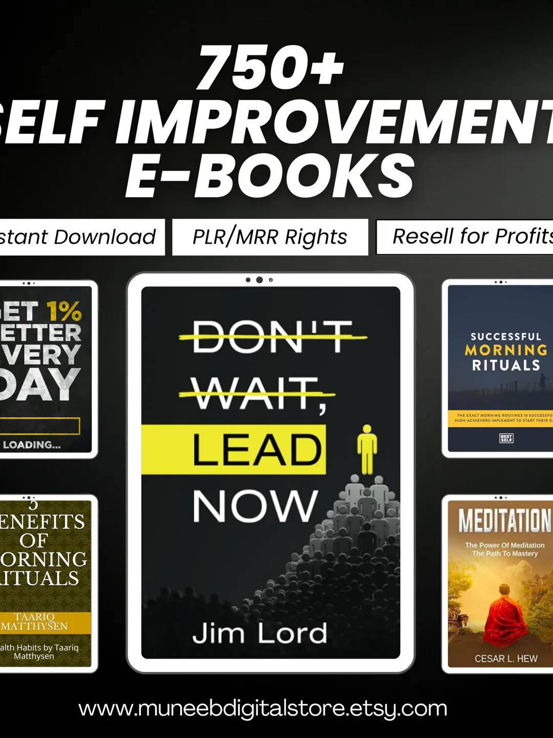 500 eBook Mega Bundle PLR & MRR Resell Rights Business, Marketing, Self ...