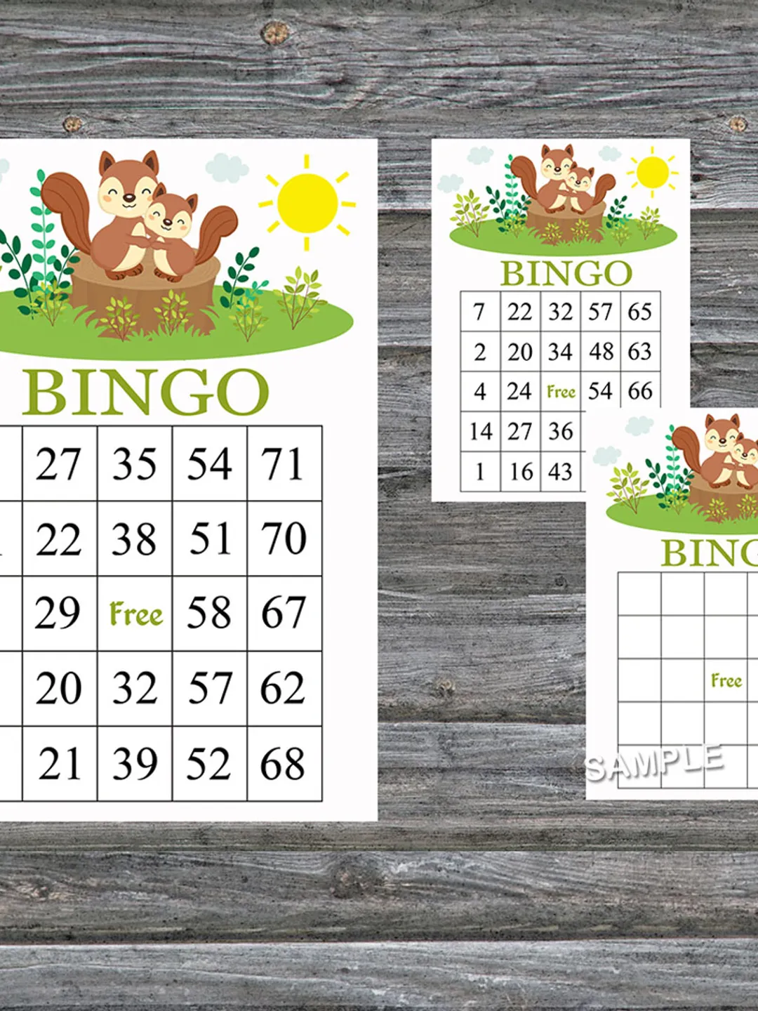 Cute Squirrel bingo cards,Cute Squirrel bingo game,Woodland animals bingo cards,60 Bingo Cards,INSTANT DOWNLOAD-292