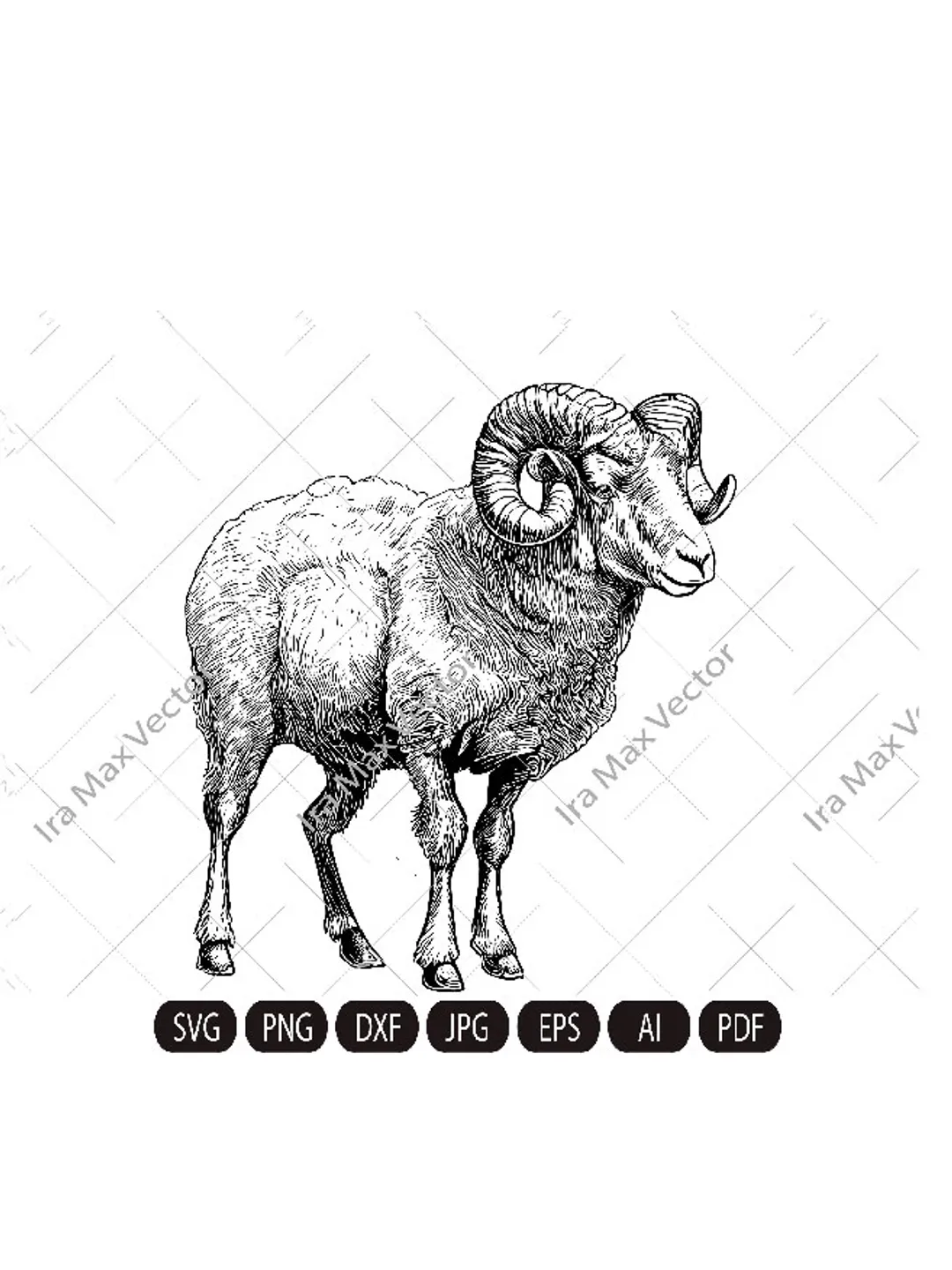 Ram Sheep SVG, Mountain sheep, Farm Animal Graphics Illustration,Ram T-Shirt ,Sheep Printable Clip Art ,Vector Digital Dxf Png Eps Ai