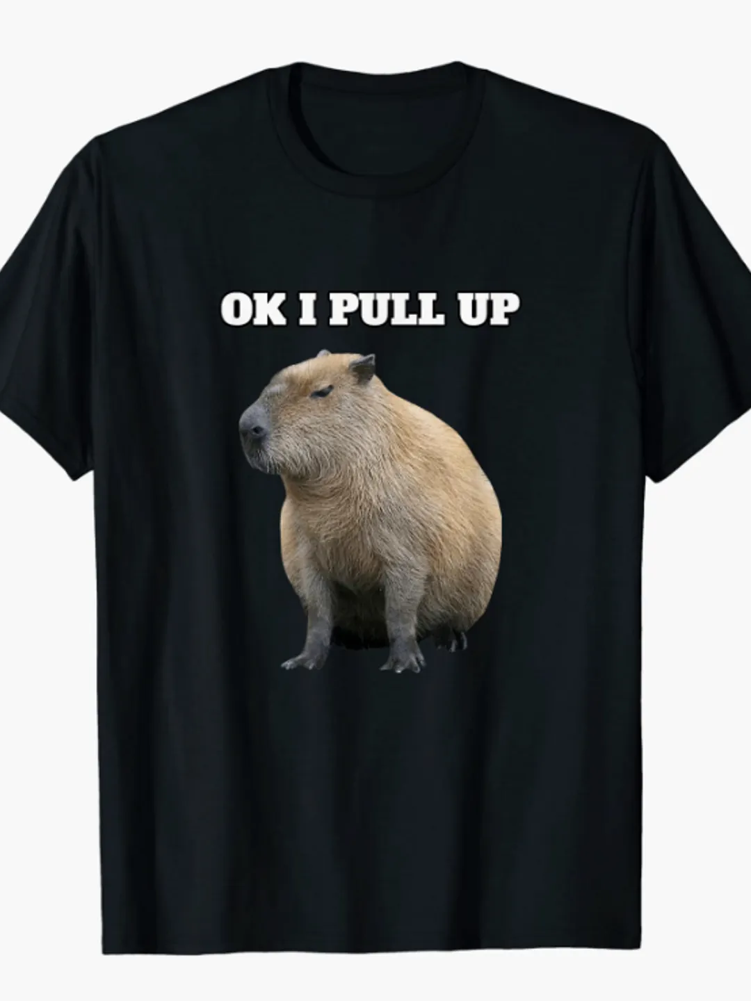 Ok I Pull Up Capybara Tshirt