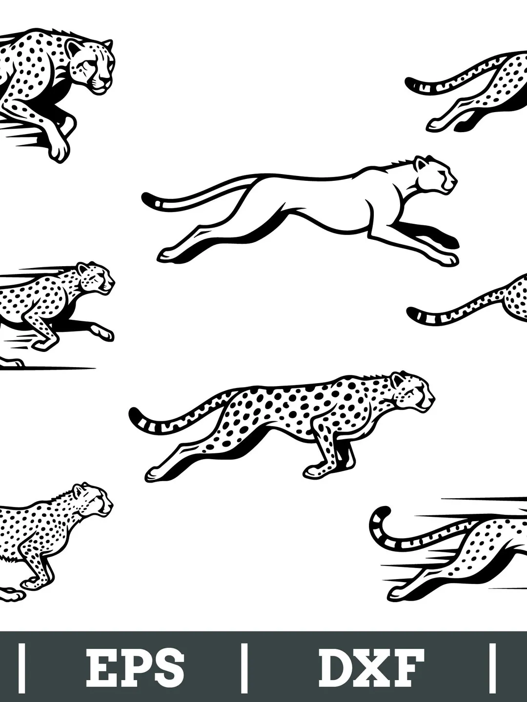Cheetah Running Svg, Dxf, Png