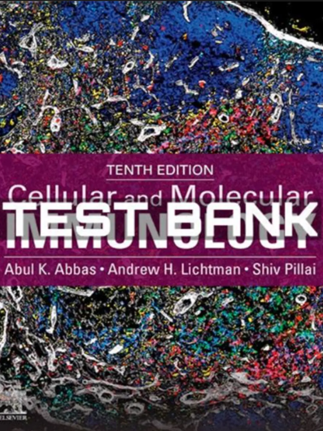 Test Bank for Cellular and Molecular Immunology 10th Edition Abbas