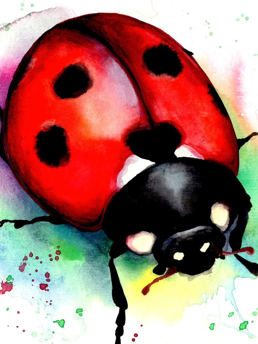 Ladybug original watercolour, bug painting, insect wall decor, 8x11 in ...
