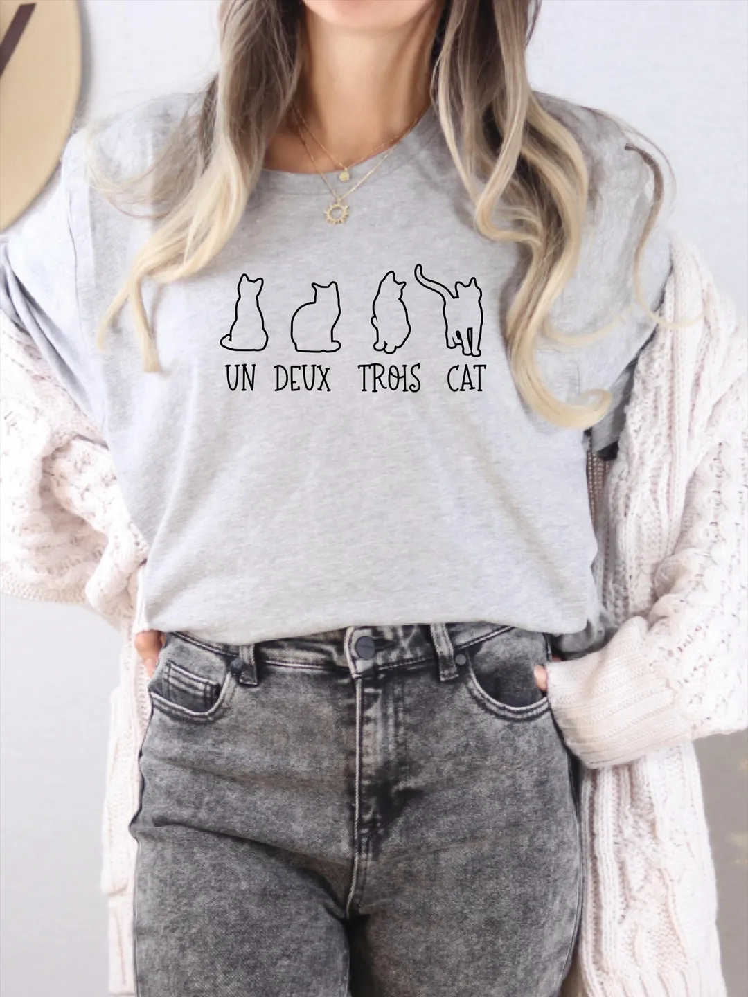 Un Deux Trois Cat Shirt: Funny French Teacher Tee