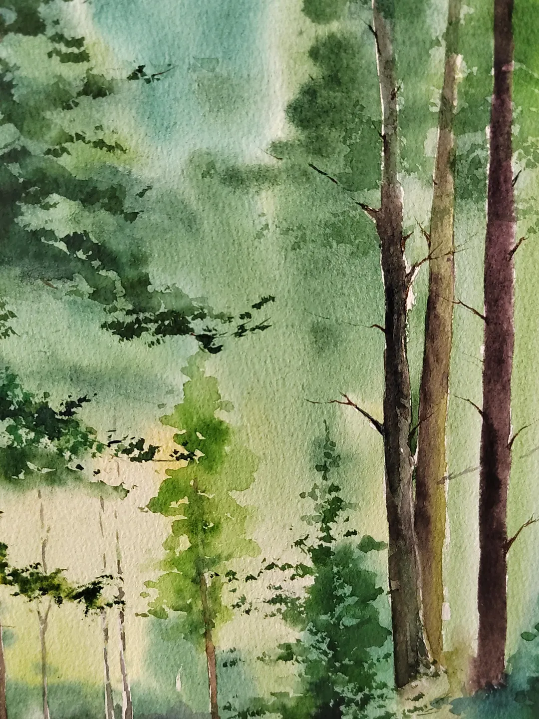 Forest Landscape Painting Original Watercolor Art Forest